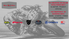 Logo Mirko Moto Mania srl